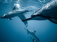 开云手机下载-【早报】英超赵子龙？利物浦单季“7进7出”两造惨案！